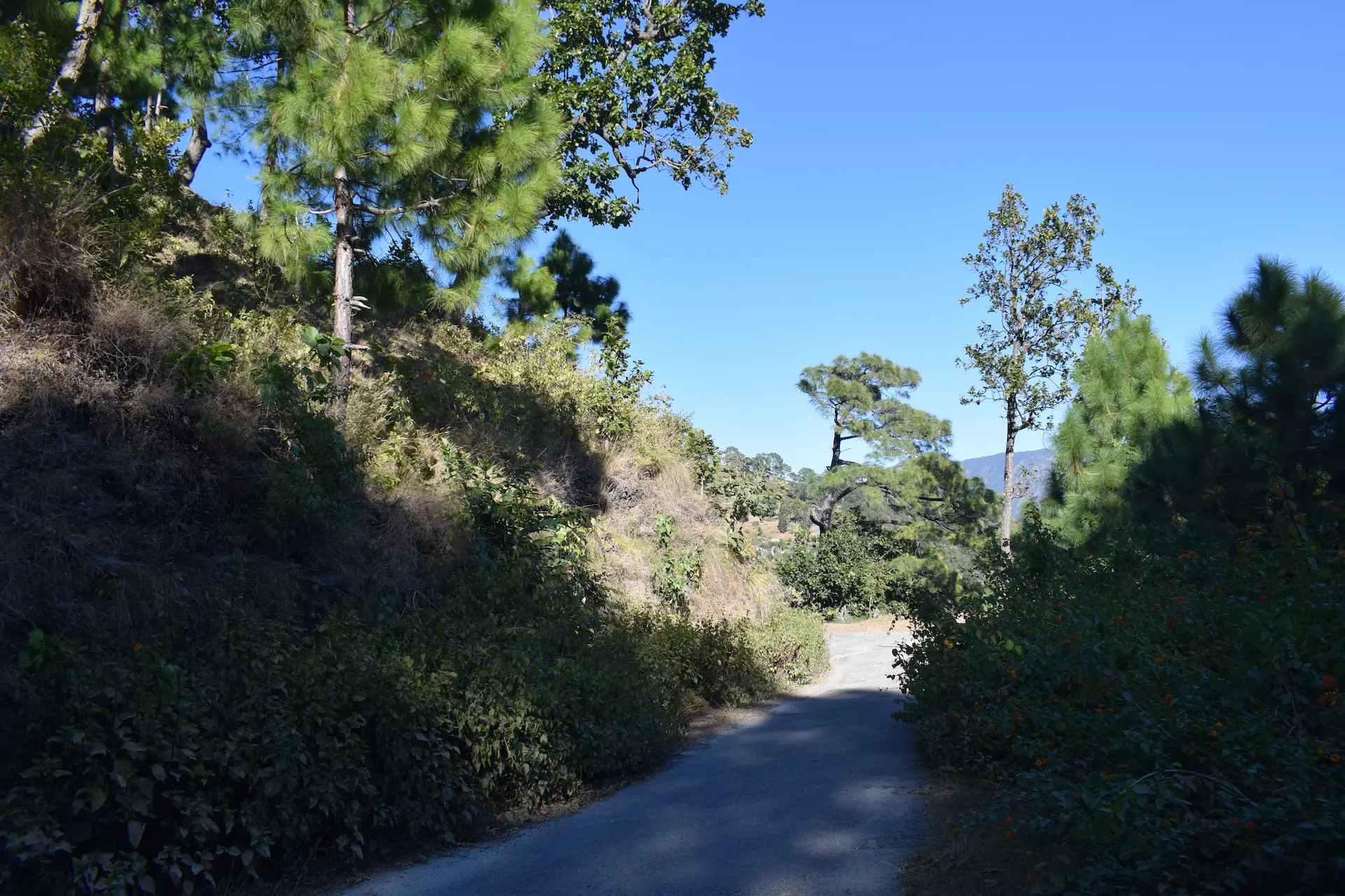 Rameshwari Homestay hero 11