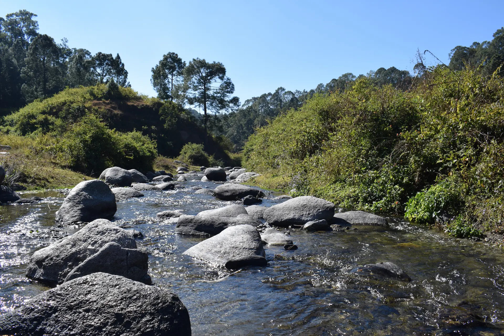 Rameshwari Homestay hero 3