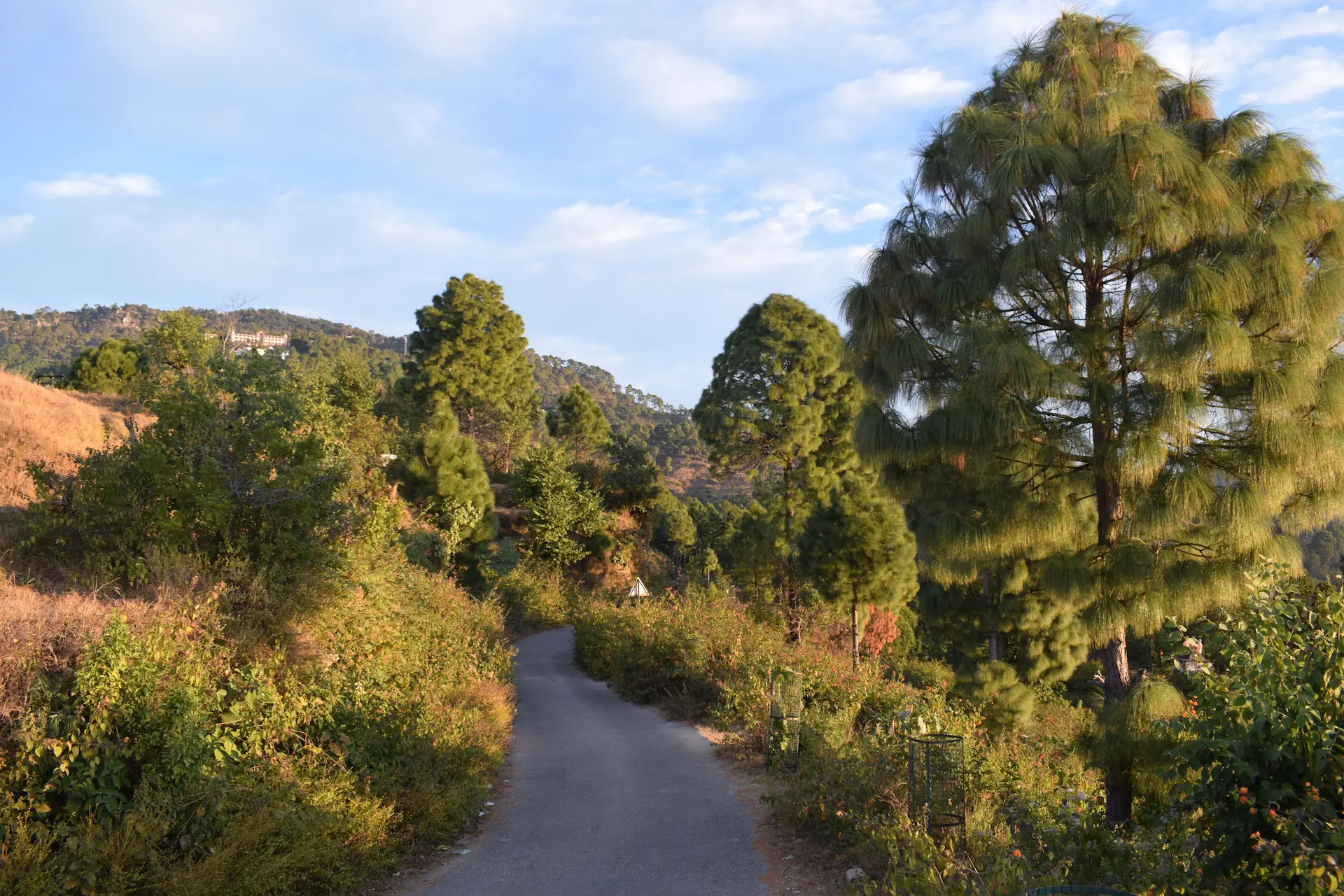 Rameshwari Homestay hero 4