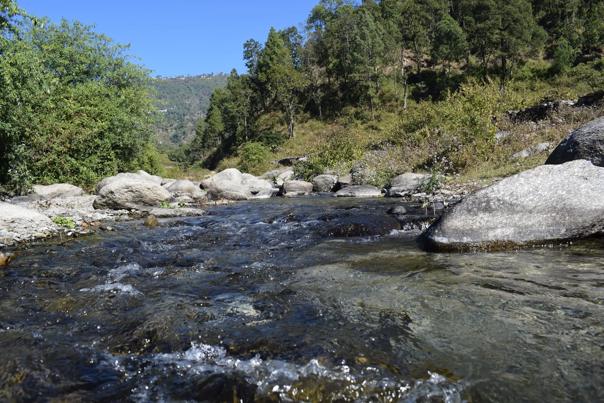 Rameshwari Homestay hero 5